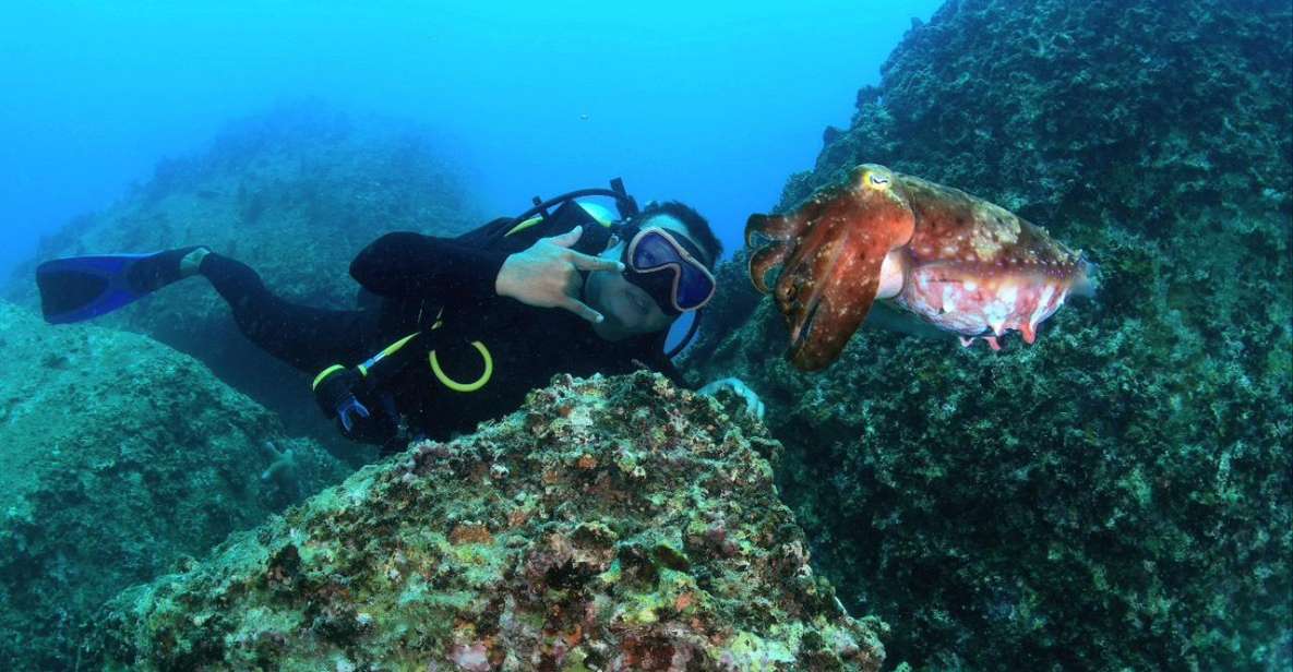 Nha Trang: Scuba Diving Experience for Non-Certified Divers - Inclusions and Restrictions