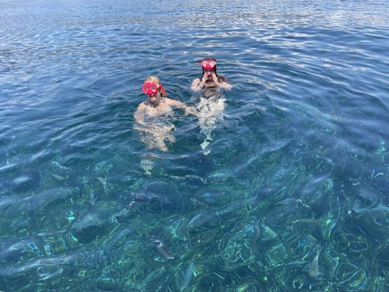 Nice: Monaco & Mala Caves Boat Trip W/ Breakfast on the Sea - Experience and Activities