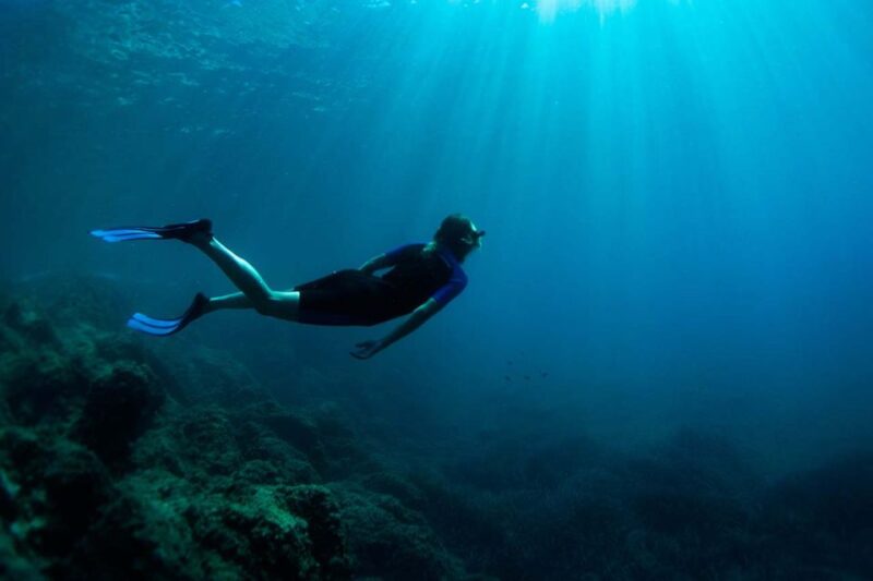 Nice: Speedboat Day Trip With Snorkeling in Villefranche Bay - Snorkeling Highlights