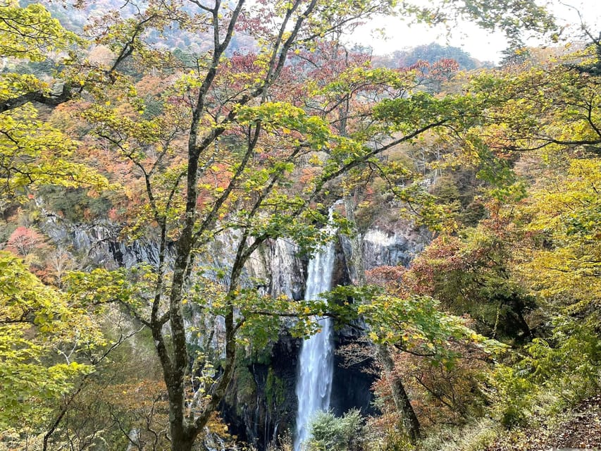 Nikko Full Day Private Tour With English Speaking Guide - Transportation Details