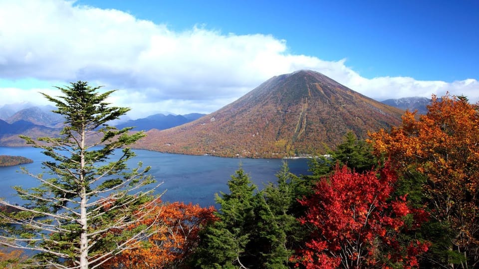 Nikko: Private Walking Tour With Local Guide - Inclusions and Additional Costs