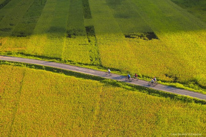 Ninh Binh Day Tour Small Group - Luxury Transfer - Pricing and Inclusions