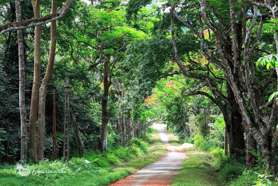 Ninh Binh: Explore Cuc Phuong National Park Full Day - Cuc Phuong National Museum