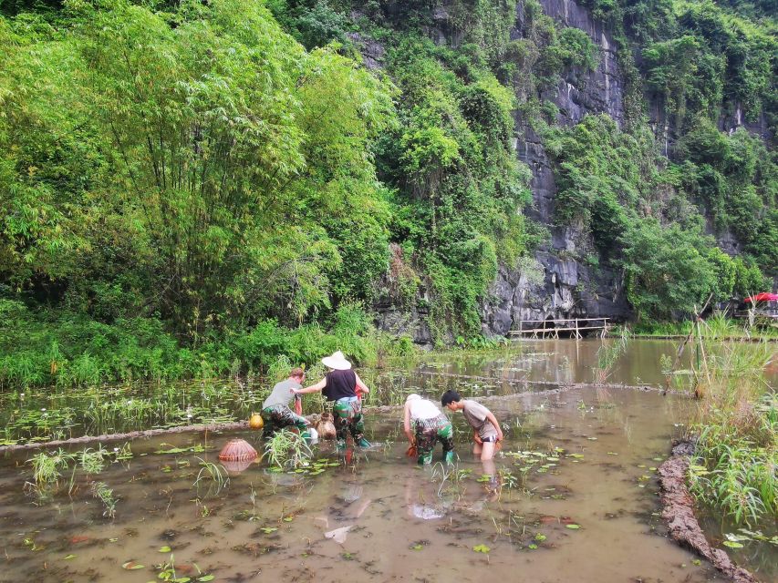 Ninh Binh Farm Trip: Experience the Authentic Rural Life - Important Information