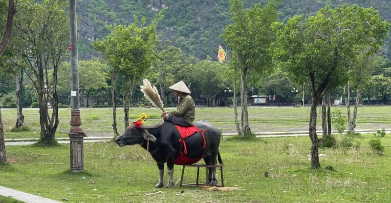 Ninh Binh Luxury Day Tour From Hanoi (Trang an - Hoa Lu) - Activities