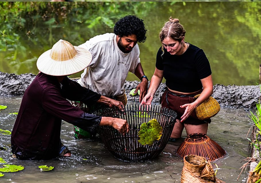 Ninh Binh: Rice Planting and Fishing by Basket Tour - Important Information