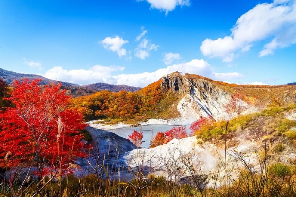 Noboribetsu: Jigokudani & Toya 1 Day Tour From Sapporo - Important Tour Information