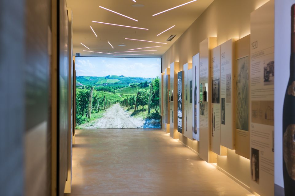 Non Guided Tour of the Wine Museum and Amarone Tasting - Accessibility Features