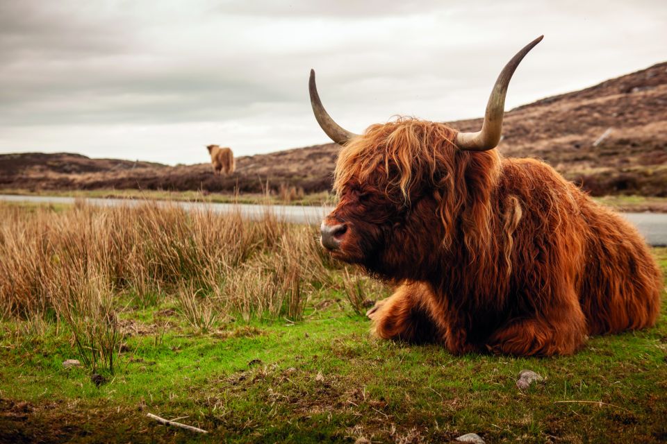 North Coast 500: 3-Day Small-Group Tour From Inverness - Day 2: Scenic Adventures