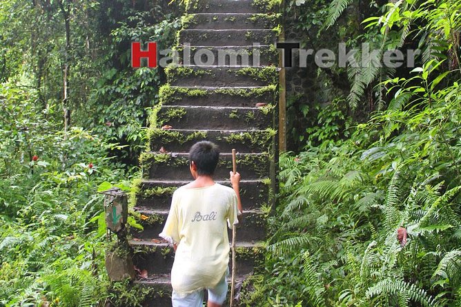 North Lombok Waterfalls - Booking Information