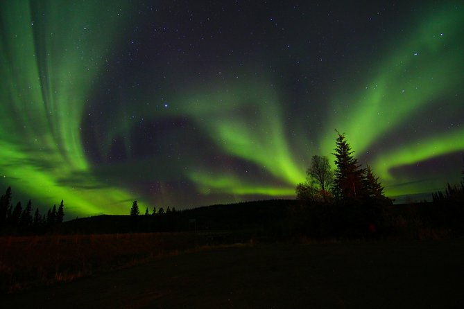 Northern Lights and Chena Hot Springs Night Tour From Fairbanks - Pricing and Cancellation Policy