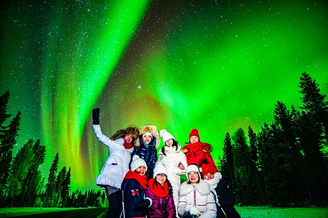 Northern Lights Hunting Adventure in Lapland - Positive Traveler Feedback