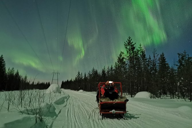 Northern Lights Sledge Ride - Activity Recommendations and Considerations