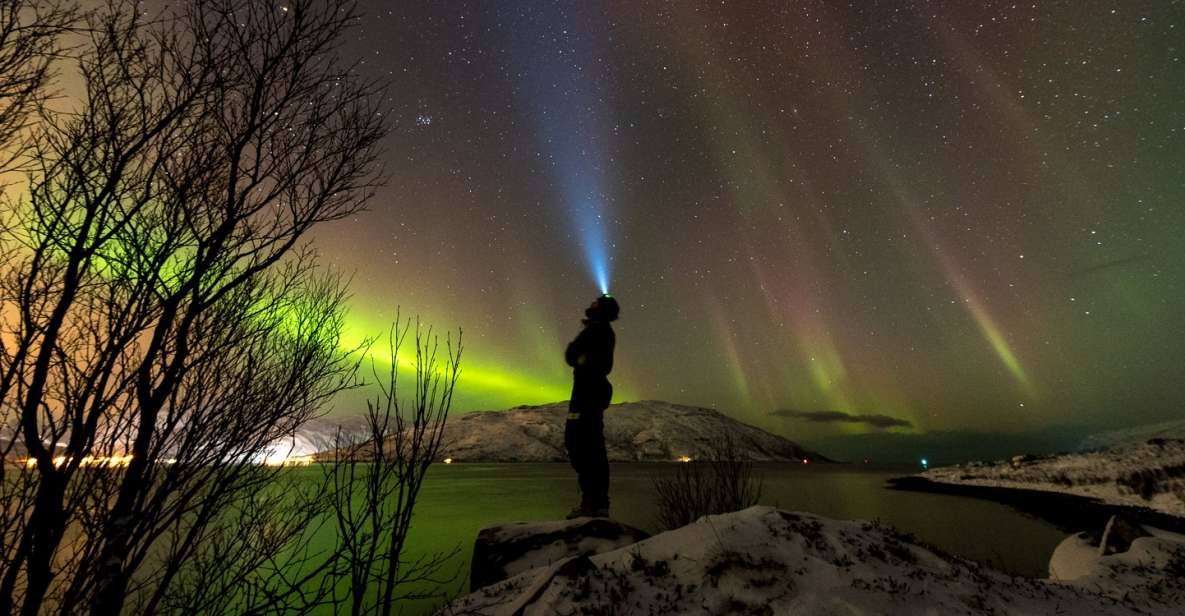 Northern Lights Tromsø - Small Group Tour With Local Guide - Guidance and Safety Measures