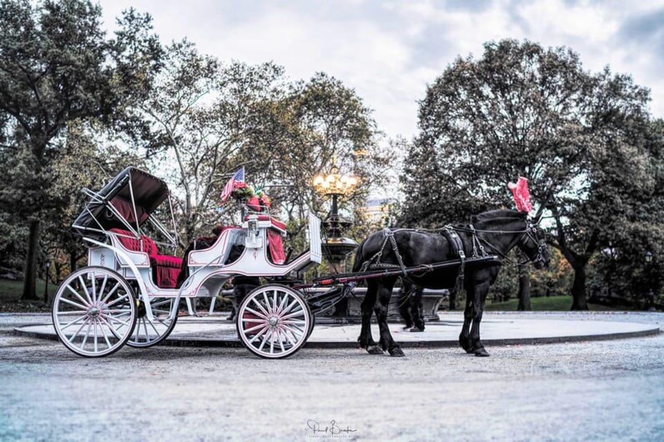 NYC Christmas Lights Carriage Ride - Frequently Asked Questions