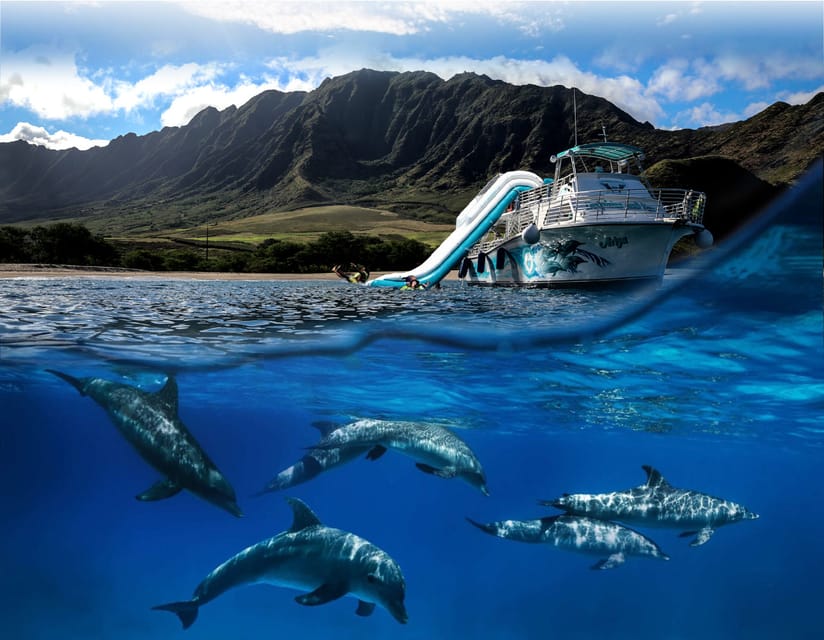 Oahu: Dolphin Watching With Lunch and Ocean Sports - Important Information