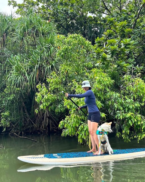 Oahu: Kahana River Stand-Up Paddleboard (SUP) Rental - Preparation and Requirements