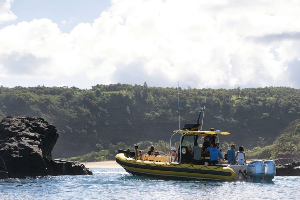 Oahu: North Shore Snorkeling Tour From Haleiwa - Customer Reviews and Ratings