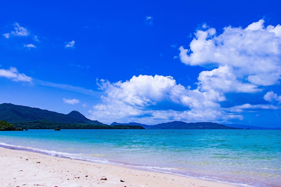 Okinawa Full-Day Tour With Daily Chauffeur - Inclusions and Exclusions