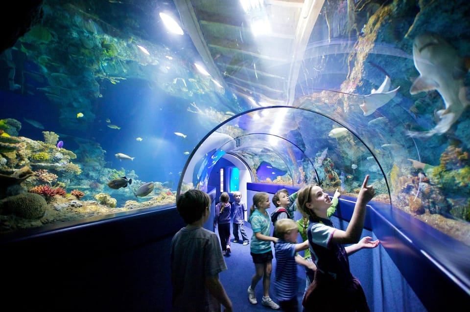 Okurcalar/Alanya: Antalya Aquarium Round-Trip Bus Transfer - What to Expect During Your Visit