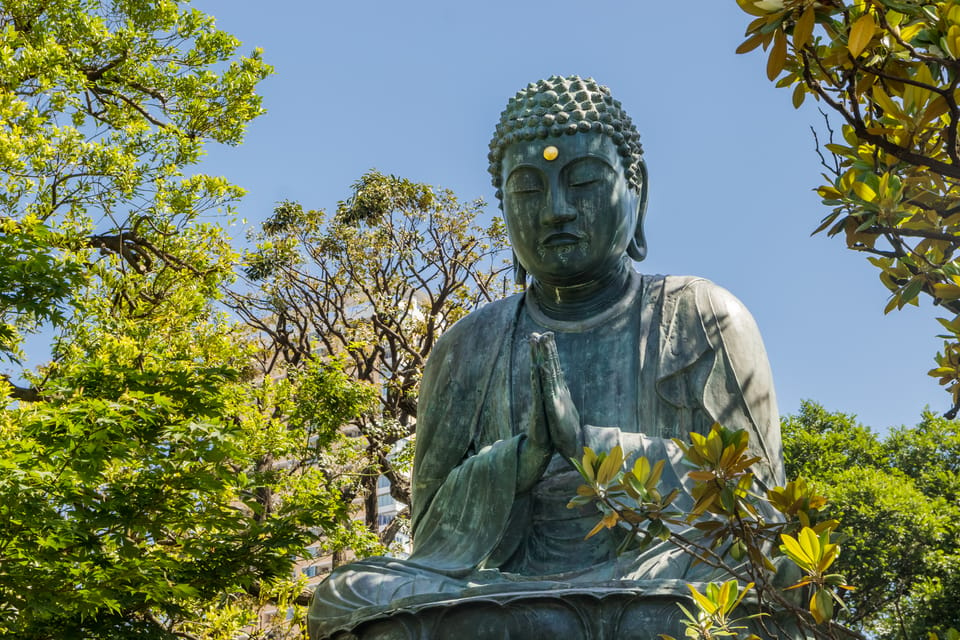 Old and Nostalgic Tokyo: Half-Day Yanaka Walking Tour - Prohibited Items