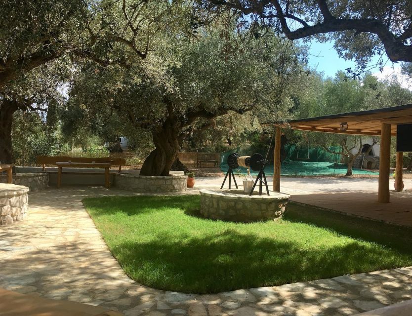 Olive Grove Tour & Olive Oil Tasting and Lunch in Messinia - Essential Information