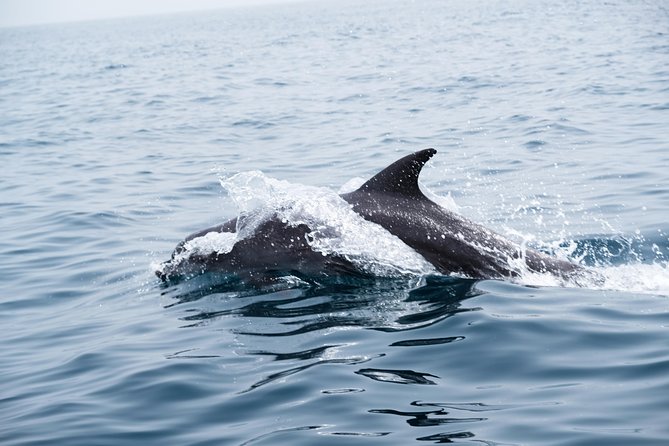 Oman Dolphin Watching Tours - Booking and Payment Options