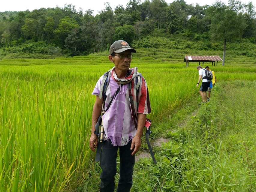 One Day Hiking Tour in Chaing Mai - Highlights and Experiences