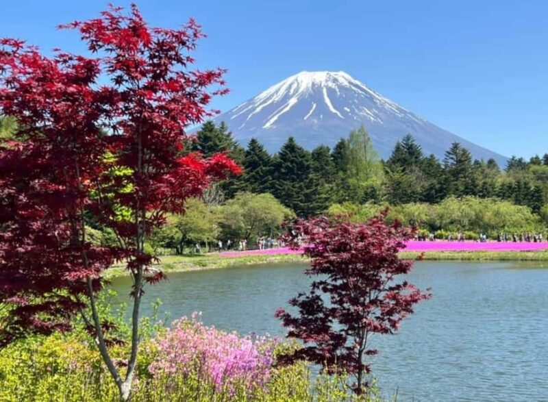One Day Mt Fuji Private Tour With English Speaking Driver - Language and Guide