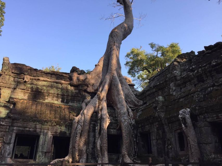 One-Day Small Circuit Tour: Angkor Wat, Bayon, Ta Prohm - Expert Tour Guides