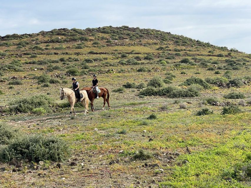 One Hour Horse Riding Tour in Gran Canaria - Whats Included