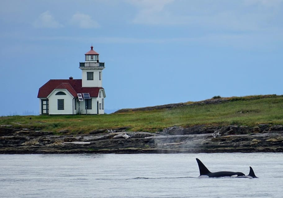 Orcas Island: Whale and Orca Guided Speedboat Tour - Participant Details