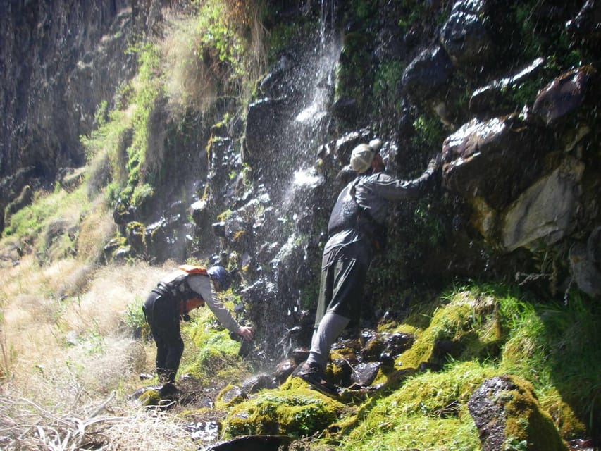 Oregon: Lower Owyhee River Multi-Day Rafting Trip - Wildlife and Flora