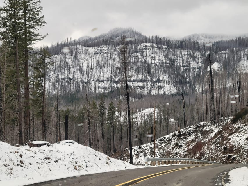 Oregon: the Bigfoot Tour With Museum, Hiking, and Casting - Tour Overview and Pricing