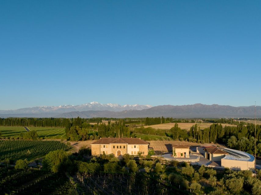 Organic, Biodynamic, and Experimental Adventure in Mendoza - Winery Features