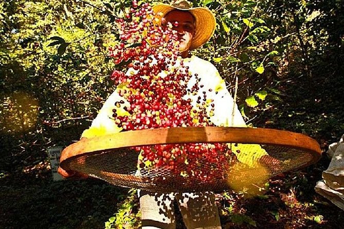 Original Historic Coffee Farm Guided Tour With Transfer - Travelers Experiences