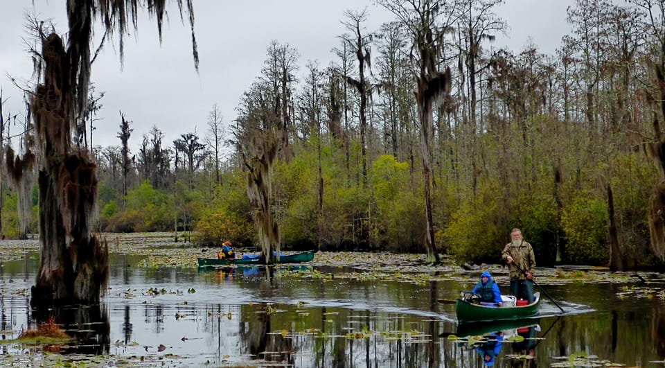 Orlando Alligator Experience: Day-Trip From Orlando - Preparation and Meeting Point