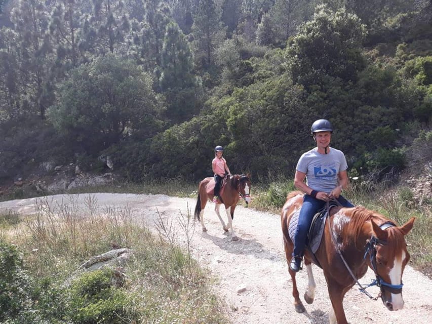 Orosei: Horse Riding on the Beach - Experience Highlights