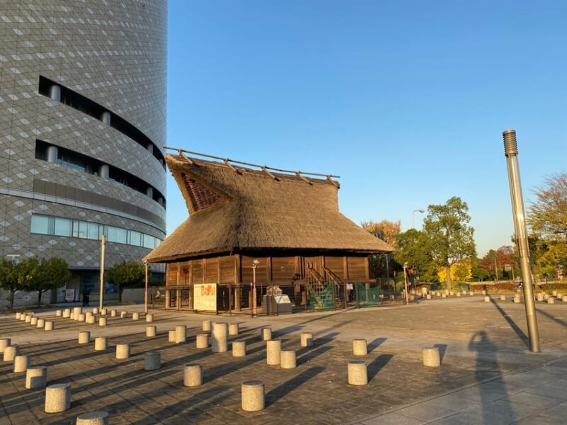 Osaka; City Highlights Walking Tour - Accessibility Information