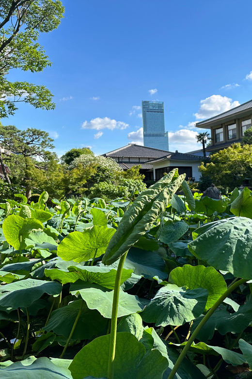 Osaka: Shitennoji, One of the Oldest Temples in Japan - Tour - Inclusions of the Experience