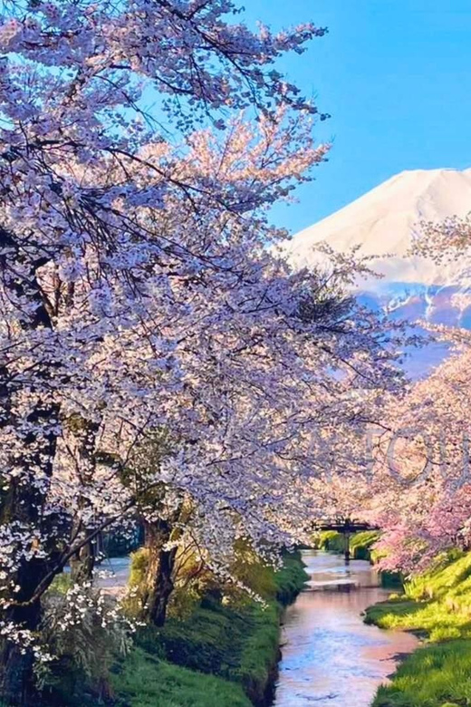 Oshino Hakkai, Ole Hot Spring in Mount Fuji One Day Tour - Activities for Participants