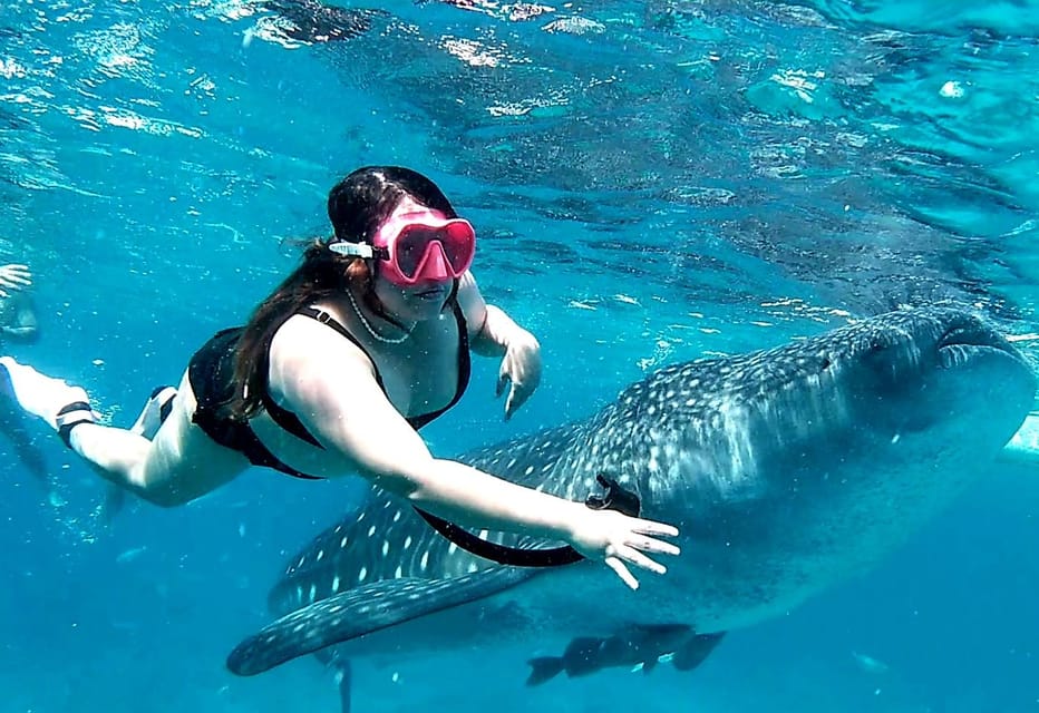 Oslob & Badian: Whaleshark Watching & Kawasan Canyoneering - Swimming With Whale Sharks