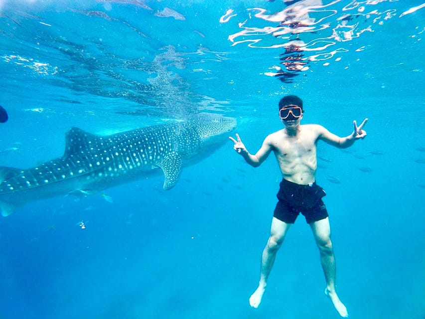 Oslob Whale Shark Direct - Tour Features