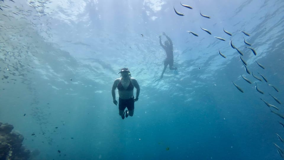 Oslob Whale Shark & Moalboal Snorkeling - Moalboal Coral Reef