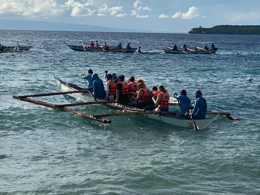 Oslob Whaleshark & Kawasan Falls Tour - Whaleshark Encounter