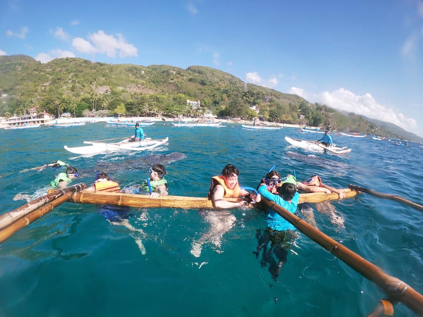 Oslob: Whaleshark Swimming, Tumalog Falls & Sumilon Island - Inclusions and Expert Guidance