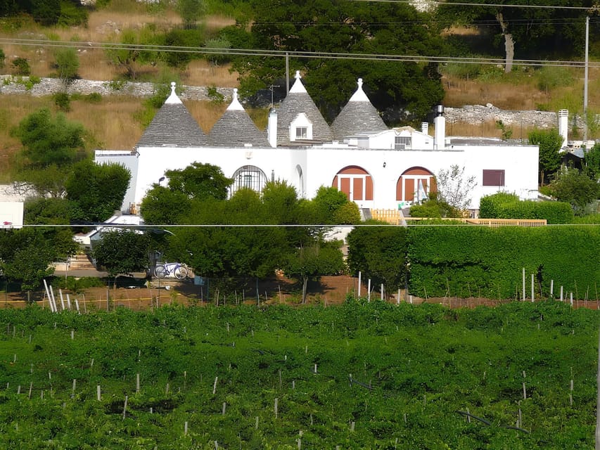 Ostuni Countryside: Wine Tasting and Lunch in a Masseria - Inclusions