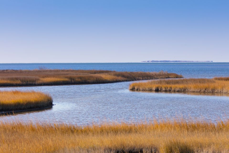 Outer Banks & Cape Hatteras Seashore Self-Guided Drive Tour - Cape Hatteras National Seashore