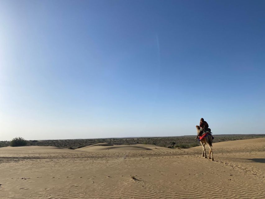 Overnight Camel Safari Non Touristic Deep Desert - Unique Highlights