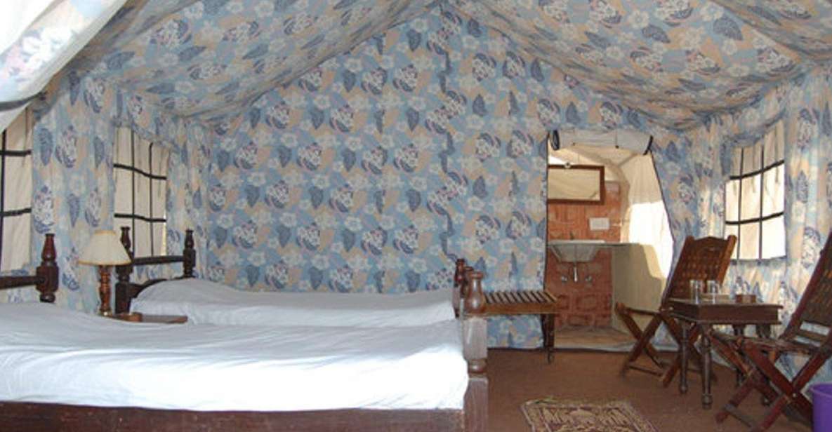 Overnight Stay In Tent With Camel Safari & Folk Dance - Dining Options